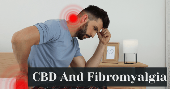 CBD And Fibromyalgia