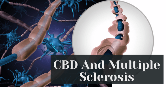 CBD And Multiple Sclerosis