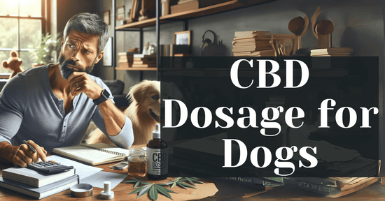 CBD Dosage for Dogs