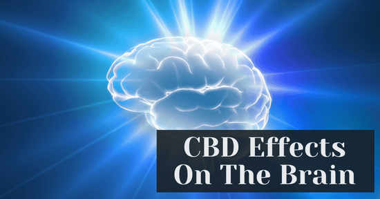 CBD Effects On The Brain