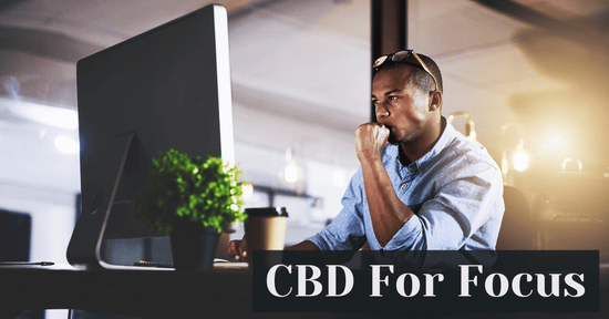 CBD For Focus