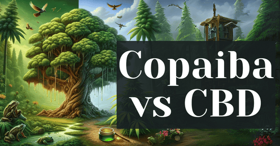 Copaiba vs CBD