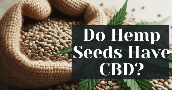 Do Hemp Seeds Have CBD?