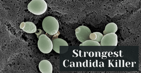 Strongest Candida Killer