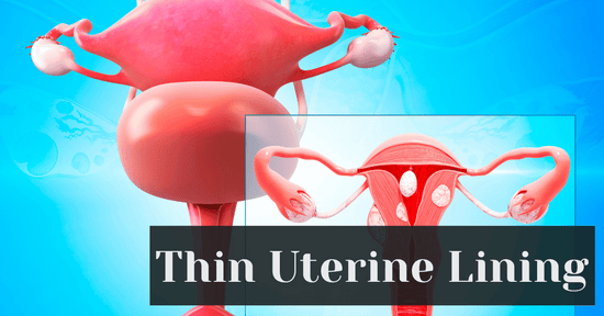 Thin Uterine Lining