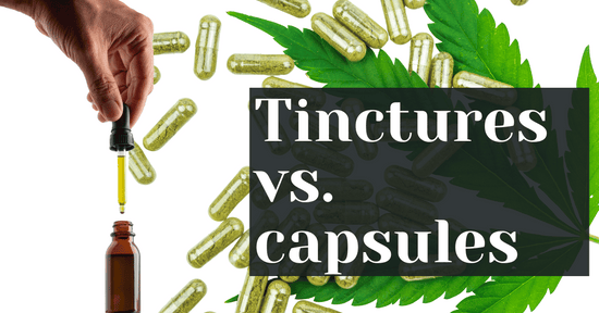 Tinctures vs. Capsules