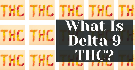 What Is Delta 9 THC?